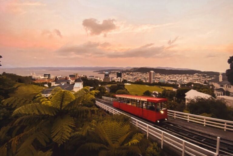 Wellington: Return Cable Car Ticket - What We Like: Pros and Cons