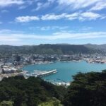 Wellington Scenic Full Day Tour - The Value of This Full Day Tour