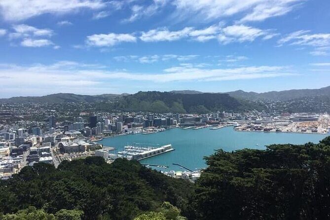 Wellington Scenic Full Day Tour - The Value of This Full Day Tour