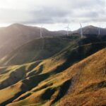Wellington: Scenic South Coast Discovery Helicopter Flight - Price and Value