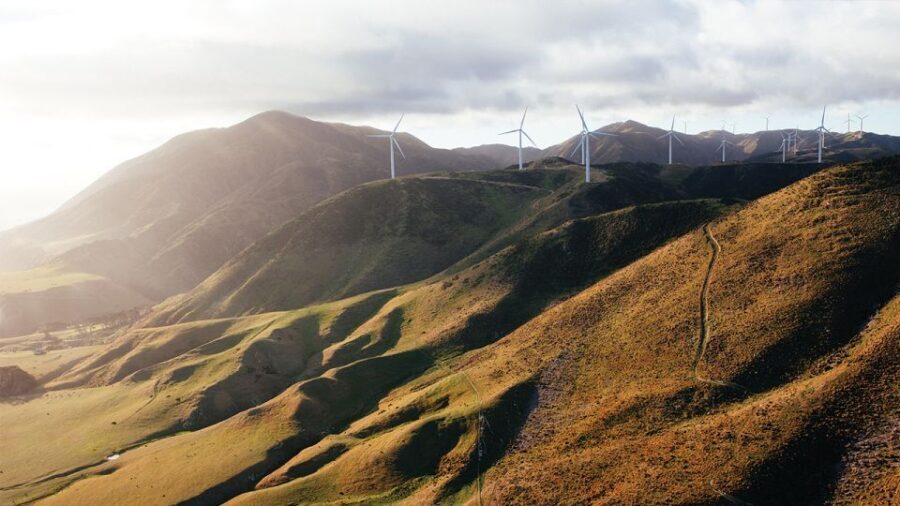 Wellington: Scenic South Coast Discovery Helicopter Flight - Price and Value