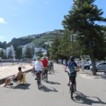 Wellington Self-Guided Electric Bike Tour - Why This Tour Works Well