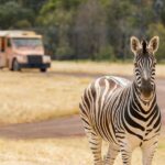 Werribee Open Range Zoo: Entry Ticket - The Overall Experience of Werribee Open Range Zoo