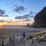 West Coast Discovery Piha Beach Private Tour - Pricing and Value