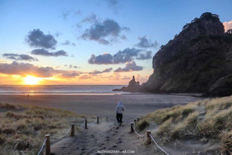 West Coast Discovery Piha Beach Private Tour - Pricing and Value
