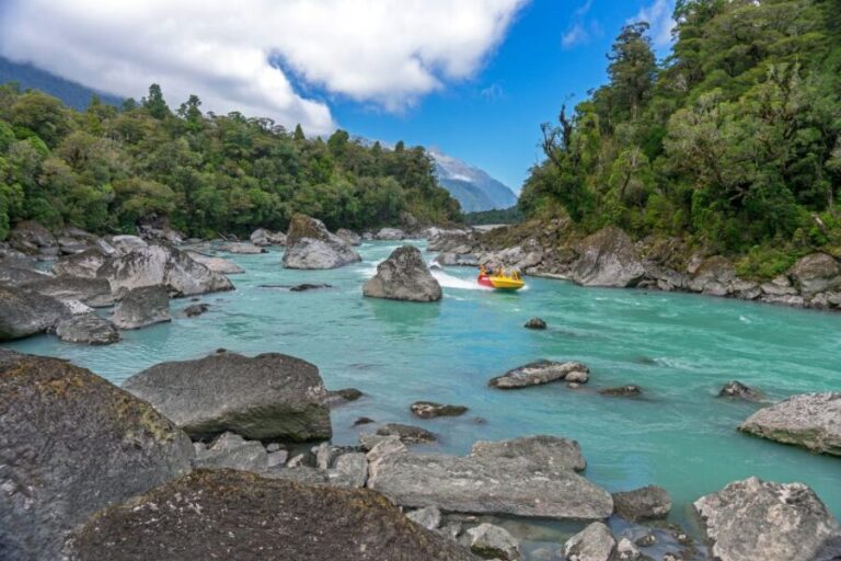 West Coast: Eco River Safari in UNESCO World Heritage Area - A Detailed Look at the Eco River Safari Experience