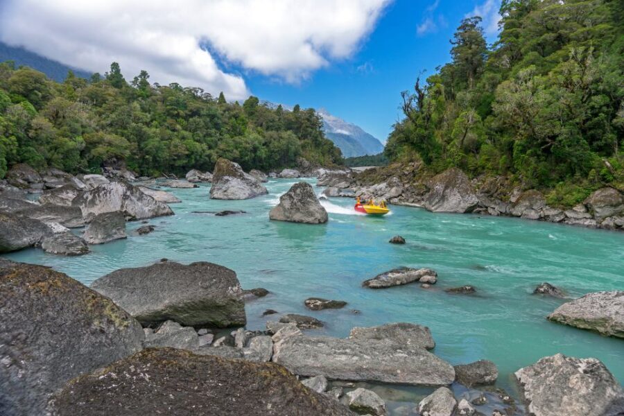 West Coast: Eco River Safari in UNESCO World Heritage Area - A Detailed Look at the Eco River Safari Experience