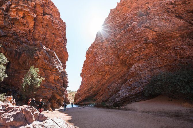 West MacDonnell Ranges- Half Day Trip from Alice Springs - Unpacking the Tour: A Detailed Look at What You Can Expect