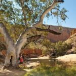 West MacDonnell Ranges Tour from Alice Springs - The Full-Day Experience