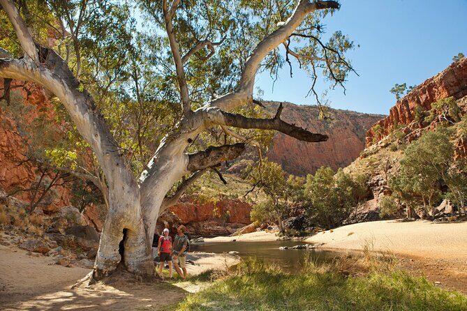 West MacDonnell Ranges Tour from Alice Springs - The Full-Day Experience