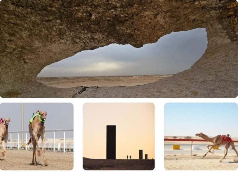 West Of Qatar, Mushroom Rocks, Camel Racing Track, Richard S - Key Points
