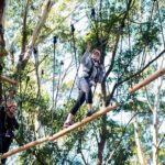 Western Sydney Tree Ropes Course - A Closer Look at the Experience