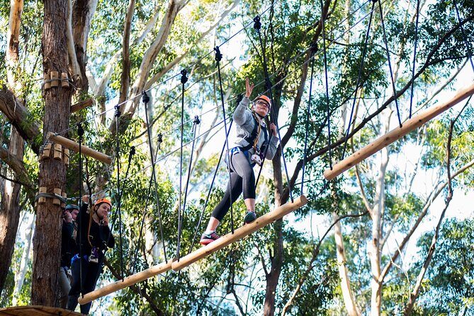 Western Sydney Tree Ropes Course - A Closer Look at the Experience