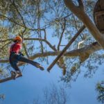 Western Sydney: Tree Ropes Courses - What Makes This Experience Special