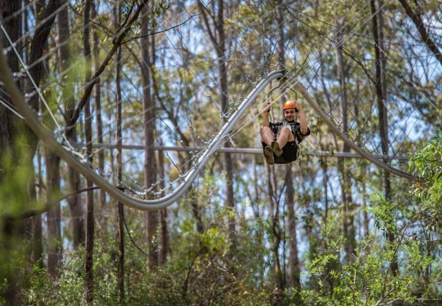 Western Sydney: Zipcoaster Experience - The Experience Itself: What You Can Expect