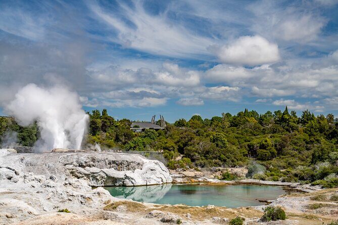 Whakarewarewa Village Guided Tour - Why You Should Consider This Tour