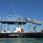 Whale Watching Activity - Authentic Insights from Reviews
