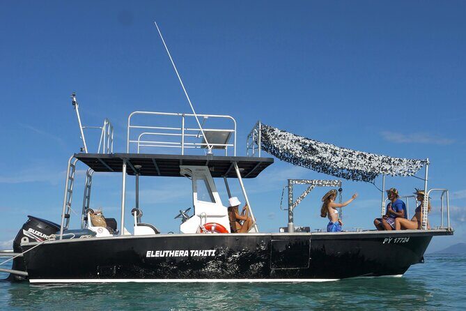 Whale Watching Activity - Authentic Insights from Reviews