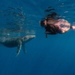 Whale watching in Moorea  Half-day private tour - Final Thoughts