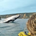 Whale Watching Ocean Kayak & Beach 4X4 Tour Noosa - The Real Value: What You Get for $113