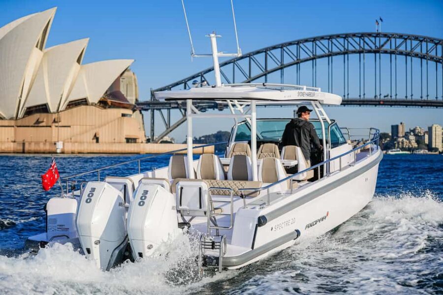Whales of Sydney Sea Safari - Private - Booking, Costs, and Value