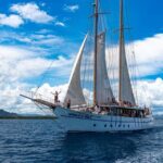 Whale's Tale Day Cruise from Port Denarau - Transportation and Group Size