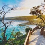 Whales, Wildlife & Beach  Eco Day Trip to Stradbroke - Authentic Experiences & Guide Highlights