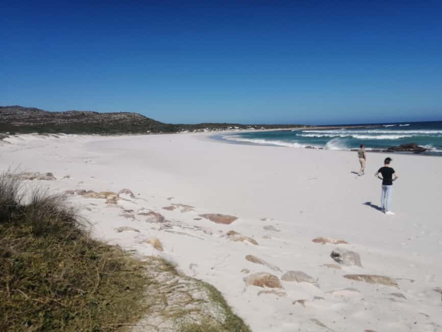 Whole day Cape point Tour-13 point of interest in one day - An In-Depth Look at the Whole Day Cape Point Tour