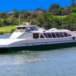 Wild Kangaroos & Blue Mountains private tour - Final Thoughts: Who Is This Tour Best For?