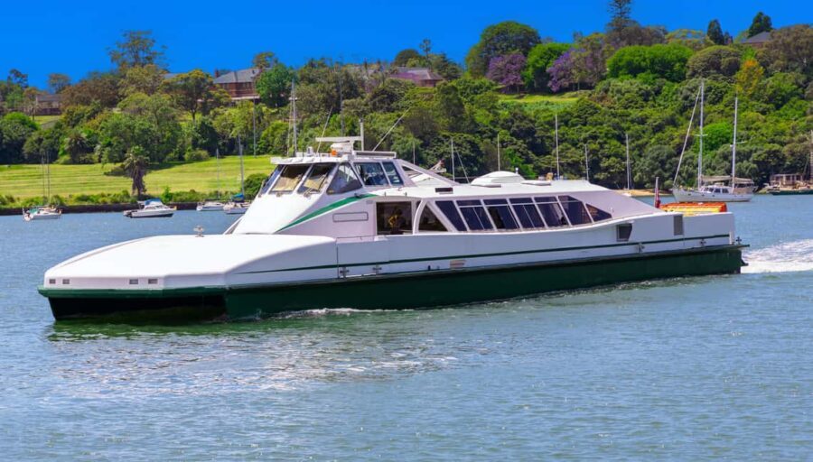 Wild Kangaroos & Blue Mountains private tour - Final Thoughts: Who Is This Tour Best For?