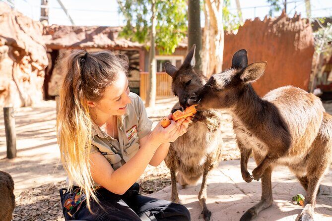 WILD LIFE Sydney Entrance Ticket - What to Expect at WILD LIFE Sydney