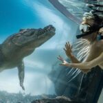 Wildlife Habitat Port Douglas - The Itinerary: What to Expect