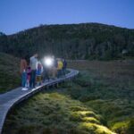 Wildlife Night Spotting at Cradle Mountain - What You’ll Experience