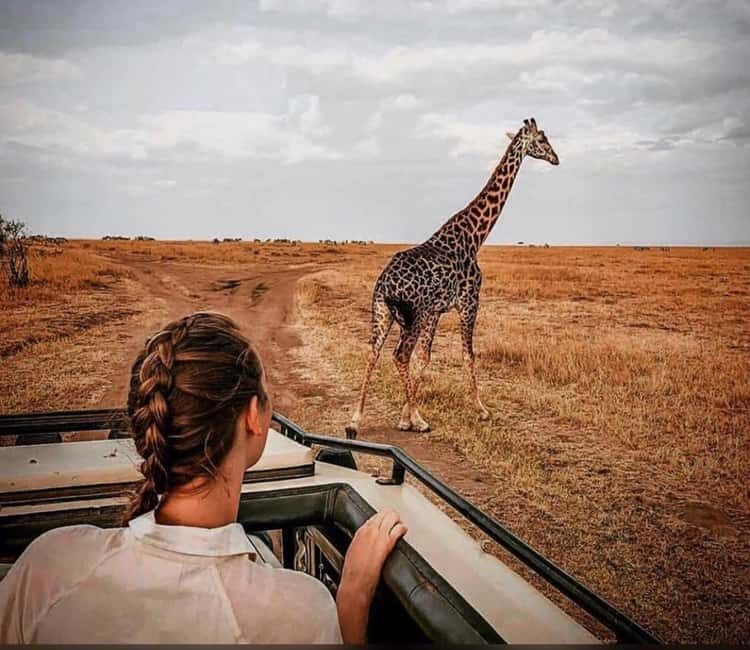 Wildlife Wonders migration private Expedition - What Makes This Tour Stand Out?