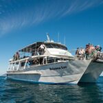 Wilsons Prom Whale Cruise - Final Thoughts: Is It Worth It?