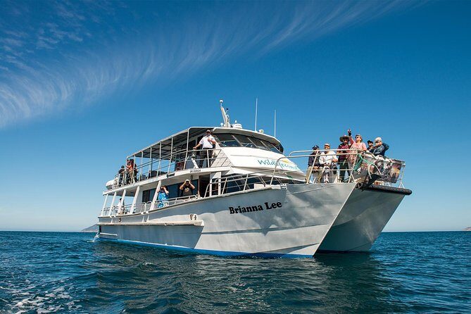 Wilsons Prom Whale Cruise - Final Thoughts: Is It Worth It?
