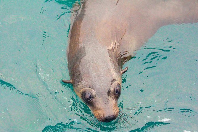 Wilsons Promontory Full Day Cruise - FAQs