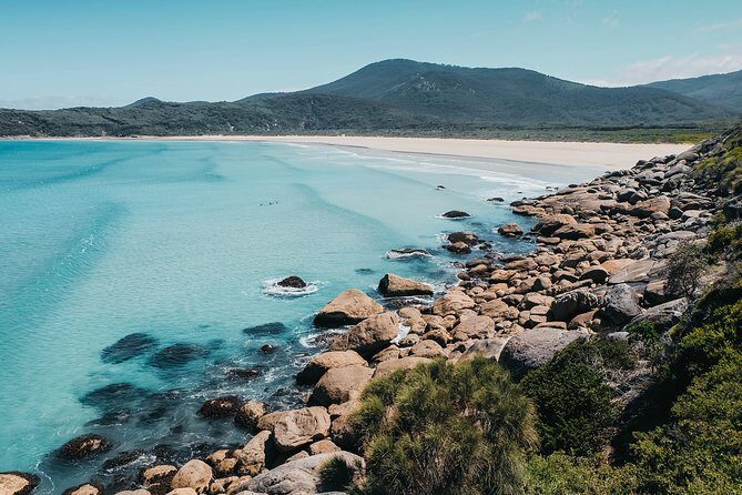 Wilsons Promontory Hiking Day Tour - 8 Person Max Small Group - The Experience: What to Expect