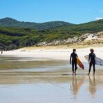 Wilson's Promontory Small Group Eco Tour from Melbourne - What’s included and what to consider