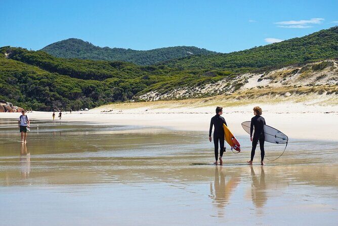 Wilson's Promontory Small Group Eco Tour from Melbourne - What’s included and what to consider