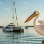 Windhoek: 10-Day Guided Tour of Namibia with Camping - Practical Aspects & Value