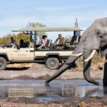 Windhoek: 5-Day Private Etosha Safari with Accommodation - What’s Included & What to Keep in Mind