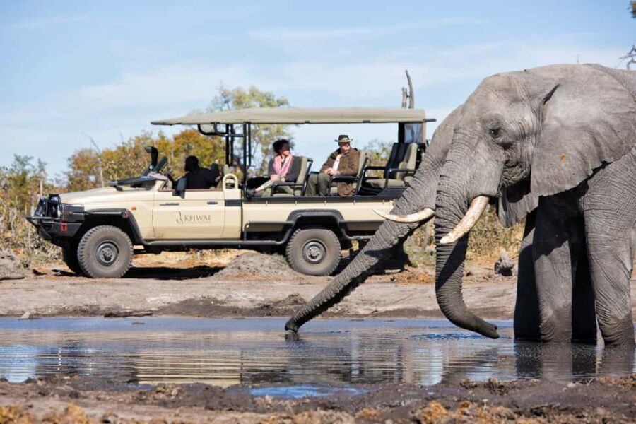 Windhoek: 5-Day Private Etosha Safari with Accommodation - What’s Included & What to Keep in Mind