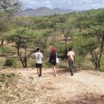 Windhoek: Bushman Walk with the San - The Itinerary Breakdown