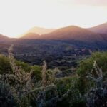 Windhoek: Dustenbrook Scenic Game Drive - What To Expect During the Tour