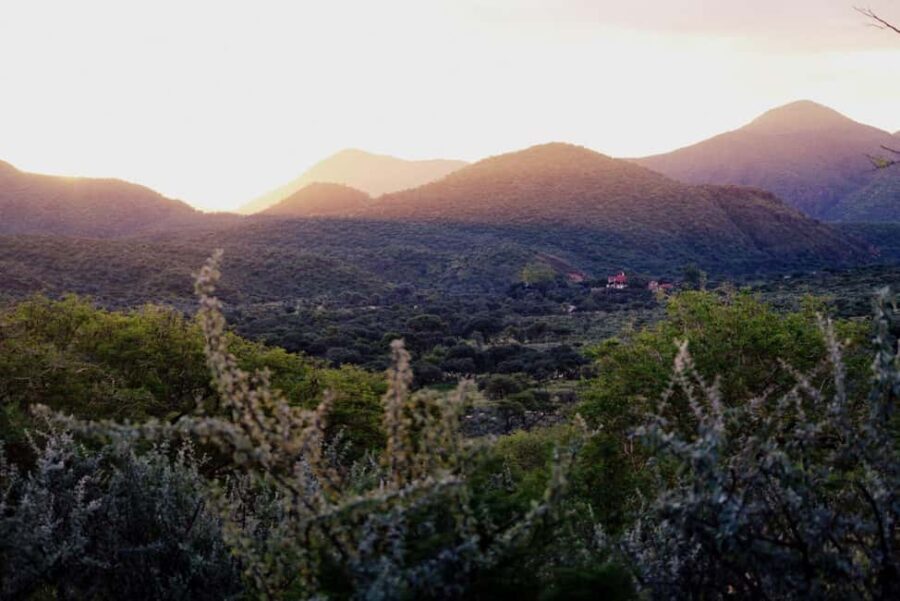 Windhoek: Dustenbrook Scenic Game Drive - What To Expect During the Tour