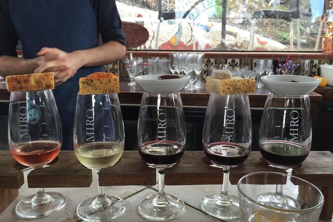 WINE ON WAIHEKE , Scenic and PEMIUM Wine tasting MAX 11 clients - What to Expect: A Typical Day
