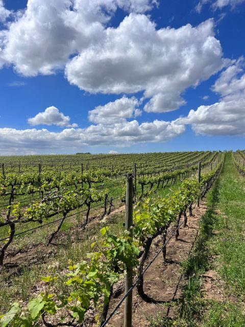 Wine tasting in FranschHoek, StellenBosch & Paarl Tour - An In-Depth Breakdown of the Itinerary
