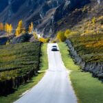 Wine Tasting in Gibbston Self Guided Audio Tour - Why This Tour Works for Travelers