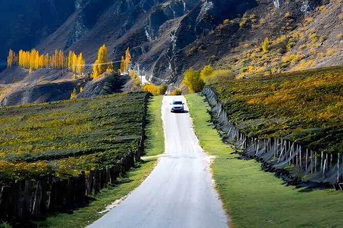 Wine Tasting in Gibbston Self Guided Audio Tour - Why This Tour Works for Travelers
